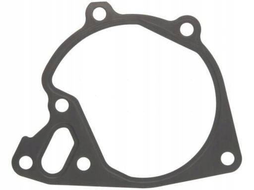 Uszczelka Pompy Cieczy Chłodzącej 934.720