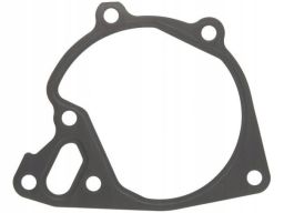 Uszczelka Pompy Cieczy Chłodzącej 934.720