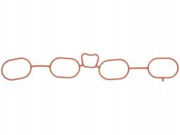 Uszczelka Kolektora Dolotowego 994.260