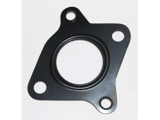 Uszczelnienie Zaworu Egr 306.220