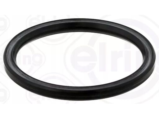 Pierścień Uszczelniający Czujnika Poziom 351.210