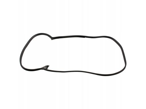 08875 Uszczelka Drzwi Fe08875 Febi