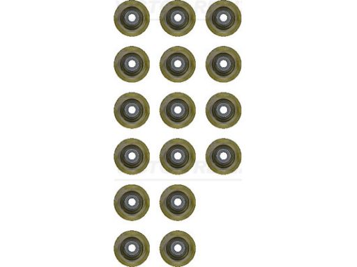 12-53438-02 Zestaw Uszczelniaczy Trzonka Zaworów 12-53438-02 Reinz