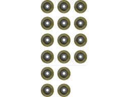 12-53438-02 Zestaw Uszczelniaczy Trzonka Zaworów 12-53438-02 Reinz