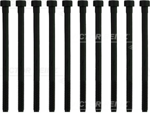 14-10276-01 Zestaw Śrub Głowicy Cylindrów 14-10276-01 Reinz