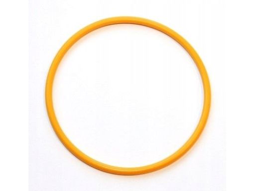 919.241 Uszczelniacz El919241 Elring