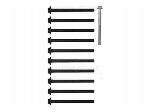 14-10030-01 Zestaw Śrub Głowicy Cylindrów 14-10030-01 Reinz