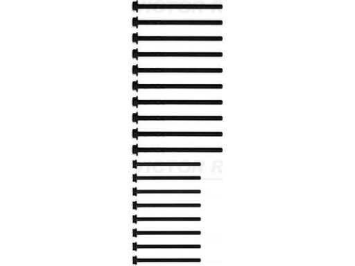 14-32204-01 Zestaw Śrub Głowicy Cylindrów 14-32204-01 Reinz