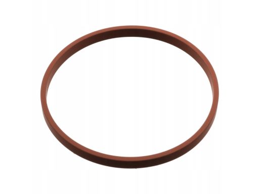 103785 Uszczelka Rury Kolektora Dolotowego Fe103785 Febi