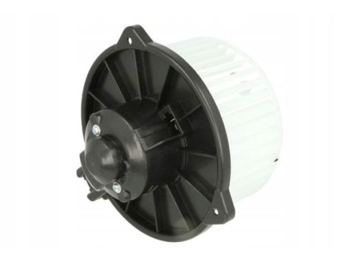 Dd2001Tt Dmuchawa Dd2001Tt Thermotec