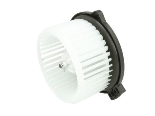 Dd2001Tt Dmuchawa Dd2001Tt Thermotec