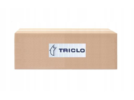 Zbiorniczek Wyrównawczy Płynu Chłodząceg 487094