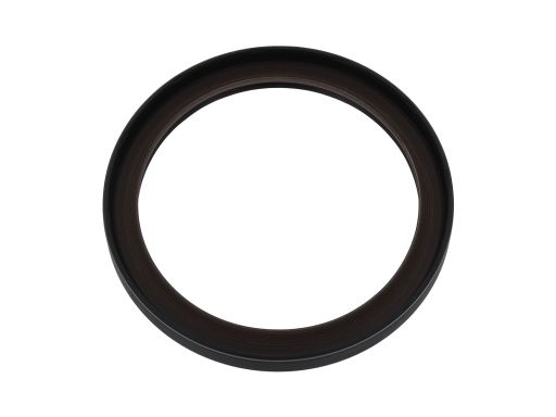 Uszczelniacz Wału Korbowego 20027584B