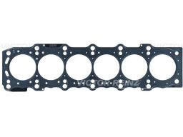 61-10030-00 Uszczelka Głowicy Cylindrów 61-10030-00 Reinz