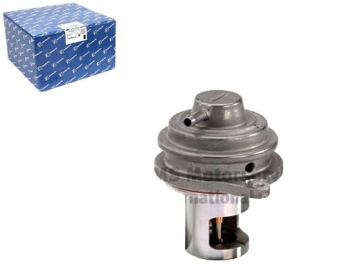 Zawór Egr 7.00306.36.0