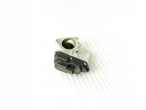 Zawór Egr 7.10334.00.0