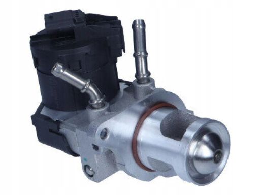 Zawór Egr 7.10334.07.0