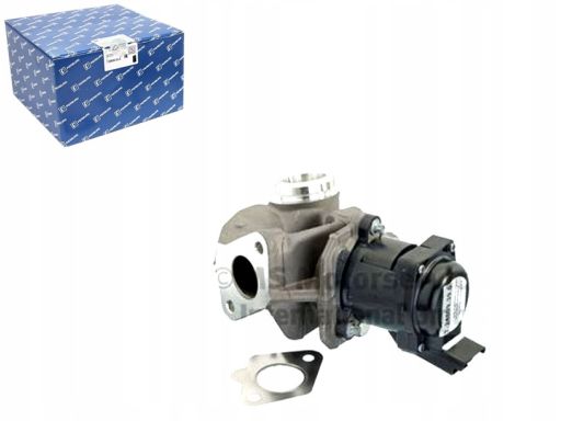 Zawór Egr 7.24809.39.0