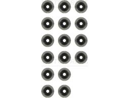 12-35549-01 Zestaw Uszczelniaczy Trzonka Zaworów 12-35549-01 Reinz