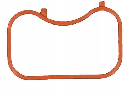 71-17123-00 Uszczelka Kolektora Dolotowego 71-17123-00 Reinz