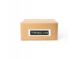 8516 29089 Przewód Wspomagania Audi A6 (C6) 05-11 Triscan