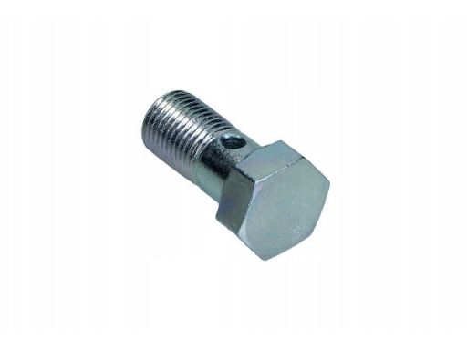 8105 3251 Śruba Drążona M10X1,14X27,1 Honda, Mitsu Triscan