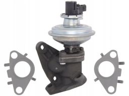 Zawór Egr 7.03051.04.0