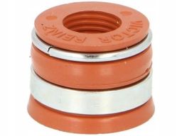 70-41953-00 Uszczelniacz Trzonka Zaworu 70-41953-00 Reinz