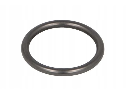 573.430 Uszczelniacz El573430 Elring