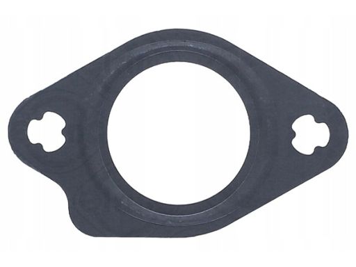 Uszczelka Przewodu Zaworu Egr 051.202