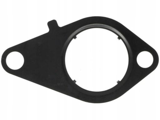 Uszczelnienie Zaworu Egr 135.670