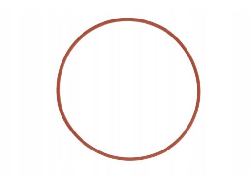 Uszczelka Rury Kolektora Dolotowego 243.500