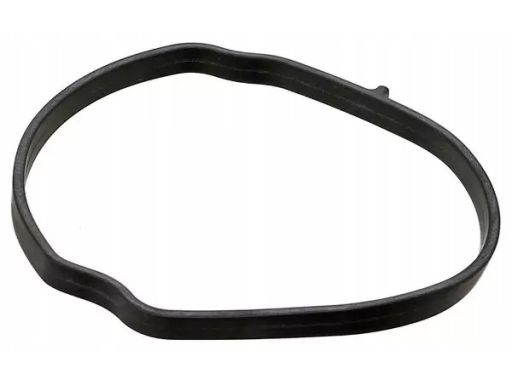 Uszczelka Korka Wlewu Oleju 384.570