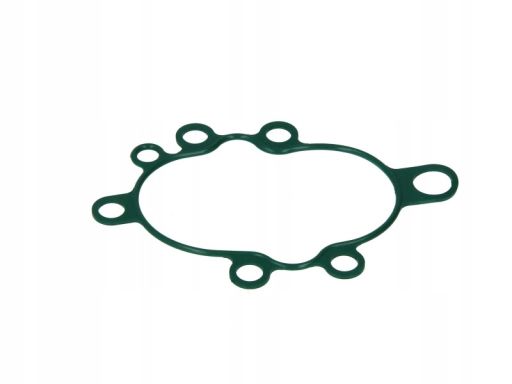 Uszczelka Pompy Paliwa 390.070