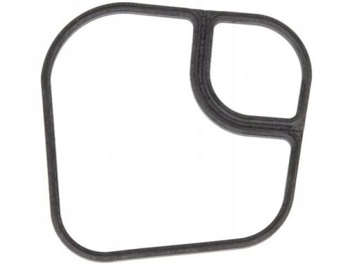 Uszczelka Chłodnicy Oleju 468.010