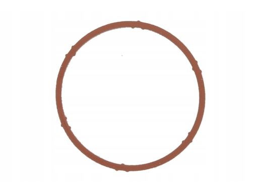Uszczelka Rury Kolektora Dolotowego 486.010
