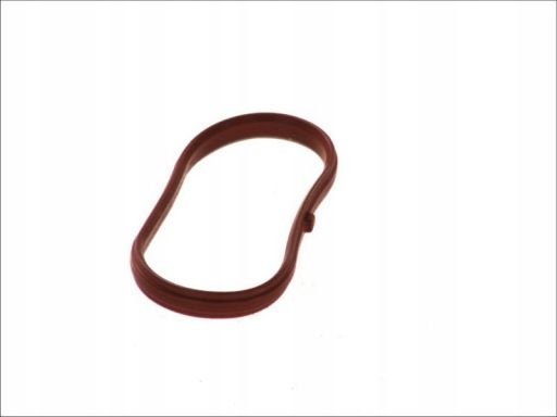 Uszczelka Kolektora Dolotowego 497.230