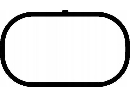 Uszczelka Kolektora Dolotowego 497.230