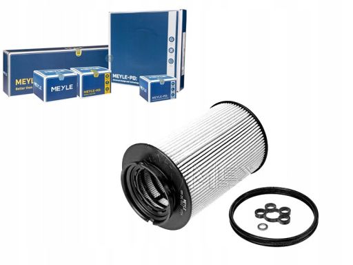 100 201 0012 Filtr Paliwa Meyle