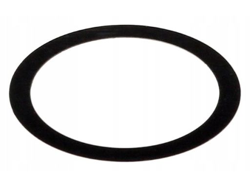 Uszczelnienie Zaworu Egr 598.660