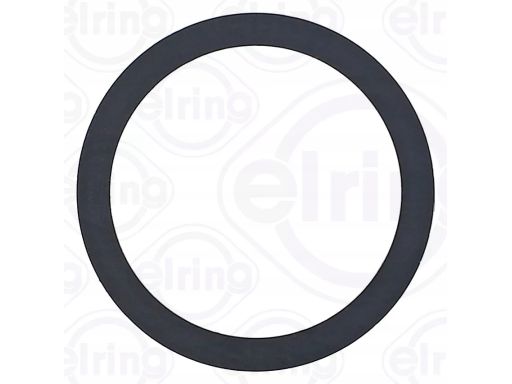 Uszczelnienie Zaworu Egr 598.660