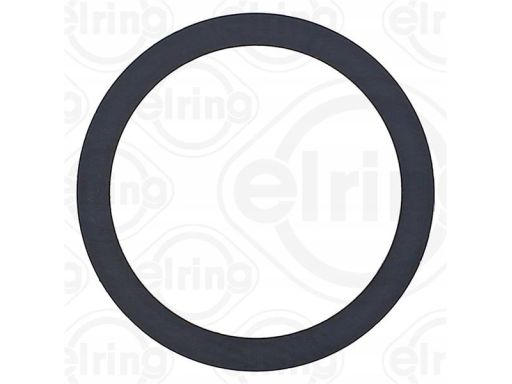 Uszczelnienie Zaworu Egr 598.660