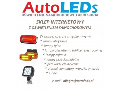 1299 Dd L/P Lampa Tylna 1299 Dd L/P W185Dd Waś