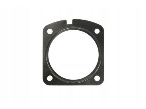 Uszczelnienie Zaworu Egr 876.410