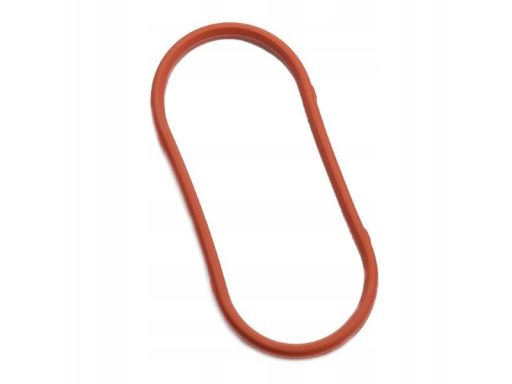 Uszczelka Kolektora Dolotowego 888.605