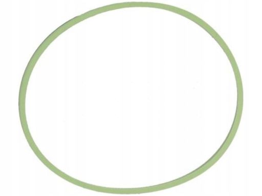 Uszczelka Rury Kolektora Dolotowego 895.580