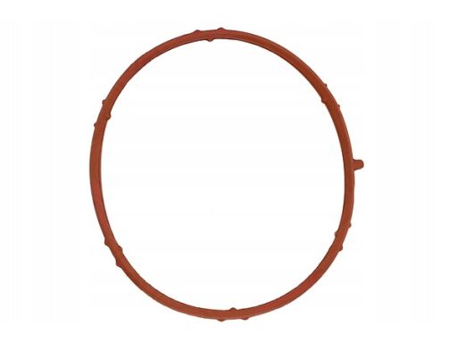 Uszczelka Rury Kolektora Dolotowego 480.140