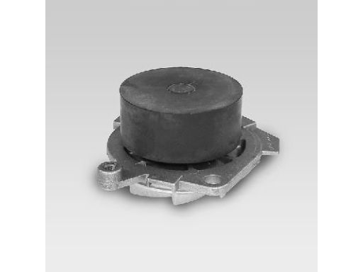 Pompa Cieczy Chłodzącej P1012