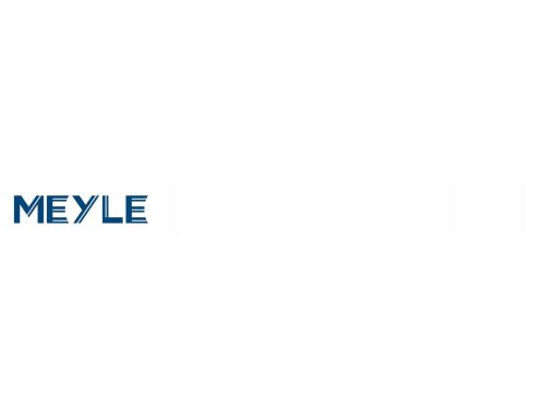 16-14 533 0004 Szczęki Hamulcowe Kpl. Meyle