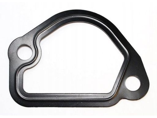 Uszczelnienie Kołnierza Przewodu Płynu C 008.921